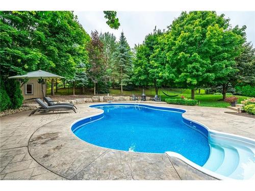 3 Oldenburg Road, Carlisle, ON - Outdoor With In Ground Pool With Backyard