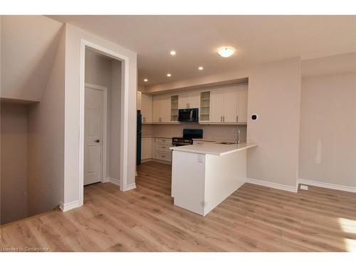 143-677 Park Road N, Brantford, ON - Indoor Photo Showing Kitchen