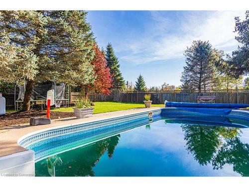 1000 8Th Concession Road W, Flamborough, ON - Outdoor With In Ground Pool With Backyard