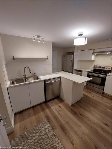 Lower-213 Garside Avenue S, Hamilton, ON - Indoor Photo Showing Kitchen With Double Sink