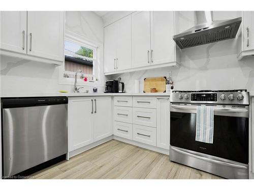 99 Chestnut Avenue, Hamilton, ON - Indoor Photo Showing Kitchen With Stainless Steel Kitchen