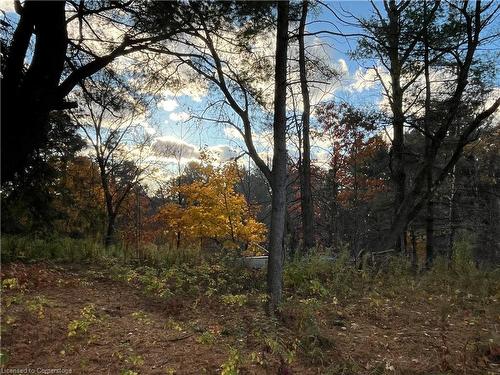 300 Manitoba Street, Bracebridge, ON - Outdoor With View