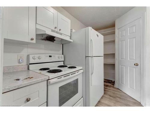 171 Balmoral Avenue N, Hamilton, ON - Indoor Photo Showing Kitchen