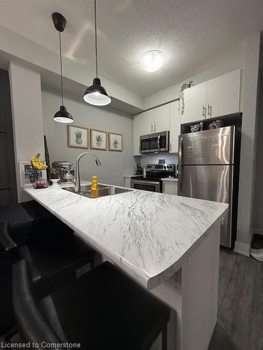 117-101 Shoreview Place, Stoney Creek, ON - Indoor Photo Showing Kitchen With Double Sink With Upgraded Kitchen