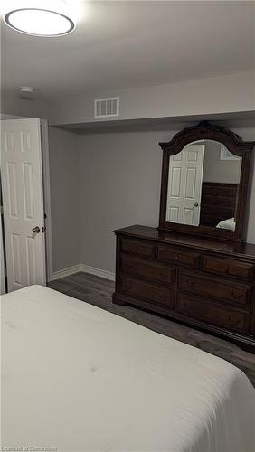 Lower-166 Davinci Boulevard Boulevard, Hamilton, ON - Indoor Photo Showing Bedroom