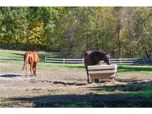 1396 Progreston Road, Carlisle, ON - Outdoor