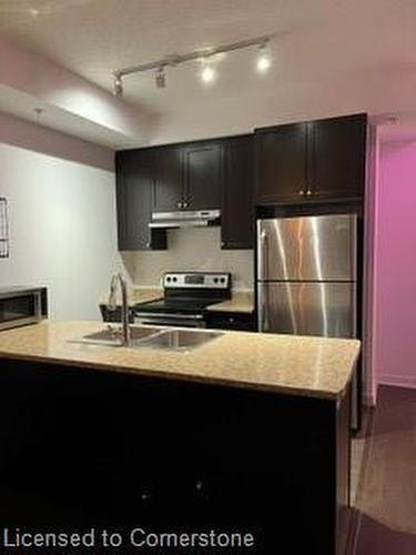 403-85 Robinson Street, Hamilton, ON - Indoor Photo Showing Kitchen With Double Sink