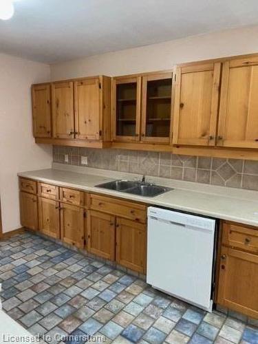 119 Gary Avenue, Hamilton, ON - Indoor Photo Showing Kitchen With Double Sink