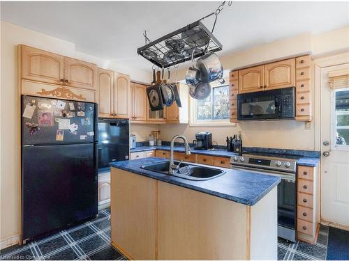 20 Glen Eden Court, Hamilton, ON - Indoor Photo Showing Kitchen With Double Sink