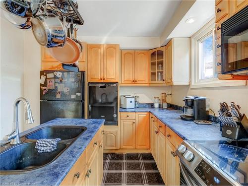 20 Glen Eden Court, Hamilton, ON - Indoor Photo Showing Kitchen With Double Sink