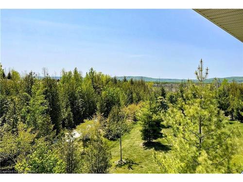 302-8 Brandy Lane Drive, Collingwood, ON - Outdoor With View