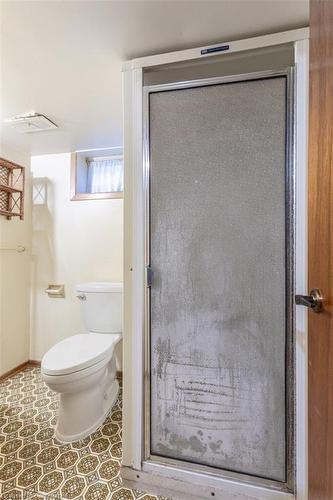 228 Eaglewood Drive, Hamilton, ON - Indoor Photo Showing Bathroom