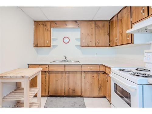 29 Mountsberg Road, Flamborough, ON - Indoor Photo Showing Kitchen With Double Sink