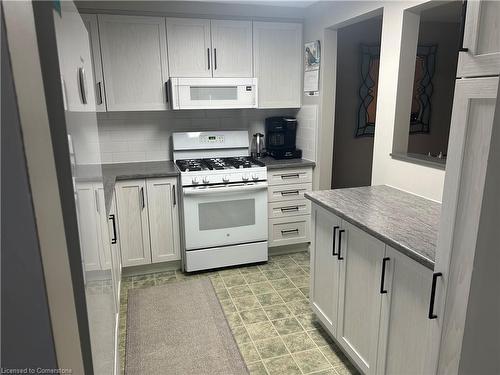 24-151 Gateshead Crescent, Stoney Creek, ON - Indoor Photo Showing Kitchen