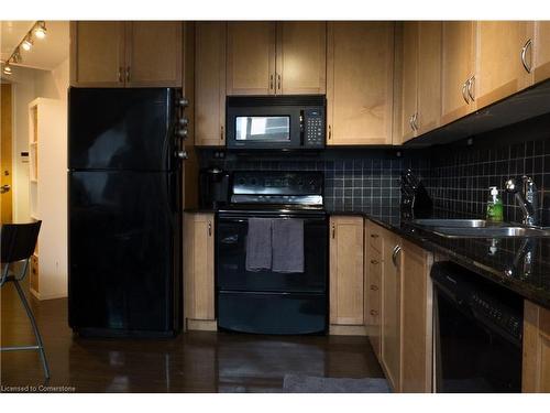 101-66 Bay Street S, Hamilton, ON - Indoor Photo Showing Kitchen With Double Sink