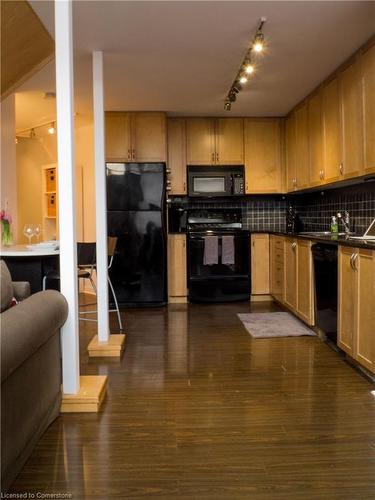 101-66 Bay Street S, Hamilton, ON - Indoor Photo Showing Kitchen With Double Sink