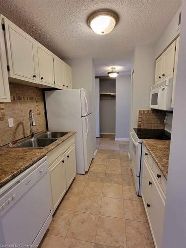 502-222 Jackson Street W, Hamilton, ON - Indoor Photo Showing Kitchen With Double Sink