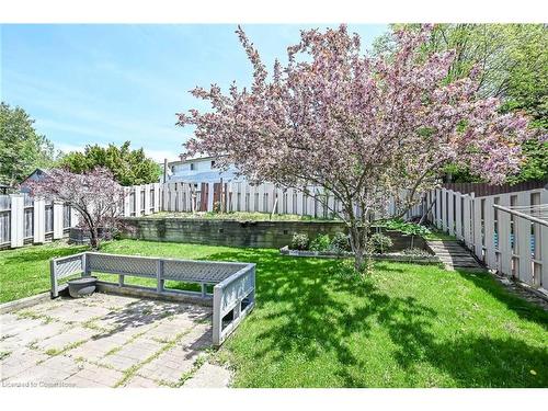 29 Birchcliffe Crescent, Hamilton, ON - Outdoor With Backyard