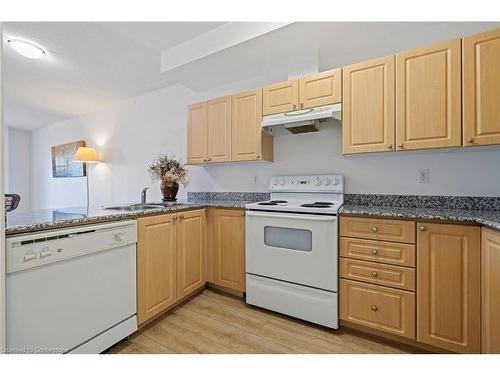 803-135 James Street South Street, Hamilton, ON - Indoor Photo Showing Kitchen With Double Sink