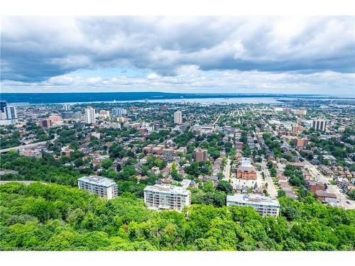 101-467 Charlton Avenue E, Hamilton, ON - Outdoor With View