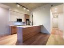 408-24 Augusta Street, Hamilton, ON  - Indoor Photo Showing Kitchen 