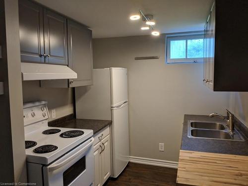 #Lower-319 Bunting Road, St. Catharines, ON - Indoor Photo Showing Kitchen With Double Sink