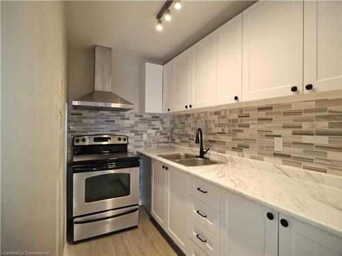 205-69 East Main Street, Welland, ON - Indoor Photo Showing Kitchen With Double Sink