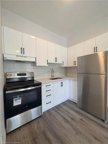 2-130 Wellington Street S, Hamilton, ON - Indoor Photo Showing Kitchen