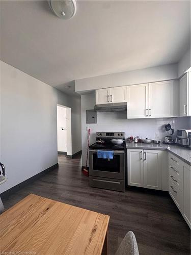 5-245 Mohawk Road E, Hamilton, ON - Indoor Photo Showing Kitchen With Double Sink