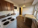 3-119 Holton Avenue S, Hamilton, ON  - Indoor Photo Showing Kitchen With Double Sink 