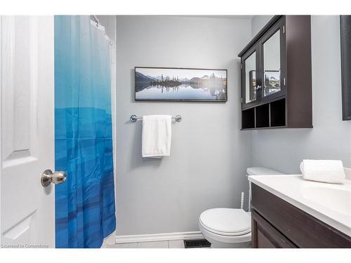 38 Golden Orchard Drive, Hamilton, ON - Indoor Photo Showing Bathroom