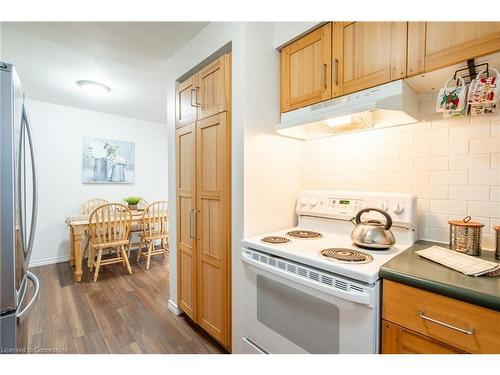 38 Golden Orchard Drive, Hamilton, ON - Indoor Photo Showing Kitchen