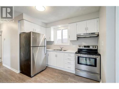 18 Agnes Street, Hamilton, ON - Indoor Photo Showing Kitchen With Double Sink