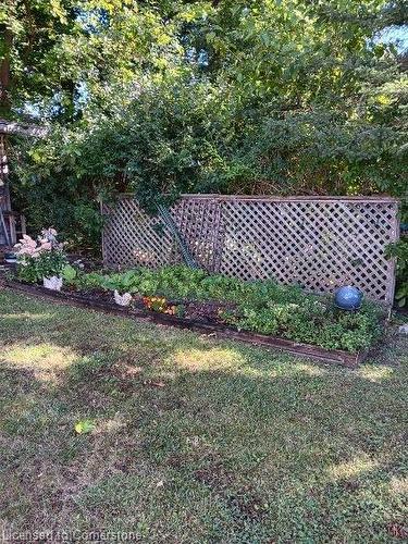 7 Underhill Avenue, Dundas, ON - Outdoor With Deck Patio Veranda