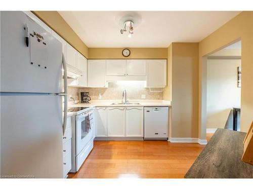 53 Myrtle Avenue, St. Catharines, ON - Indoor Photo Showing Kitchen With Double Sink