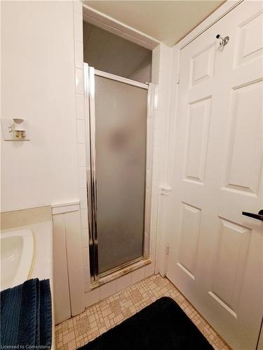 592 Grays Road, Stoney Creek, ON - Indoor Photo Showing Bathroom