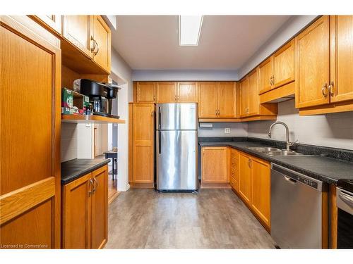 85 Royalvista Drive, Hamilton, ON - Indoor Photo Showing Kitchen With Double Sink