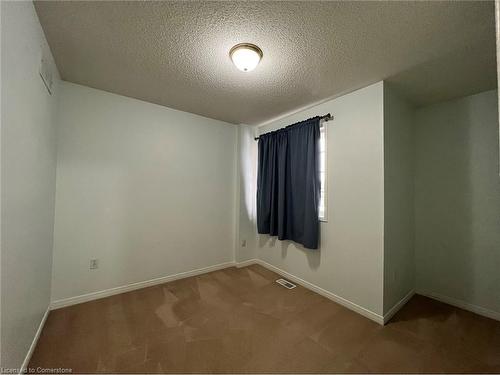 9 Brookheath Lane, Hamilton, ON - Indoor Photo Showing Other Room