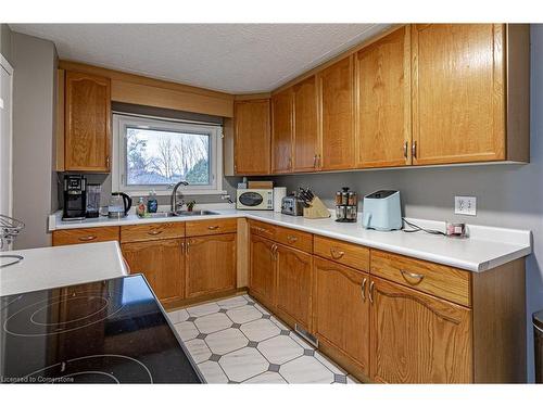 94 Avonlea Street, Ingersoll, ON - Indoor Photo Showing Kitchen With Double Sink