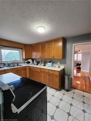 94 Avonlea Street, Ingersoll, ON - Indoor Photo Showing Kitchen With Double Sink