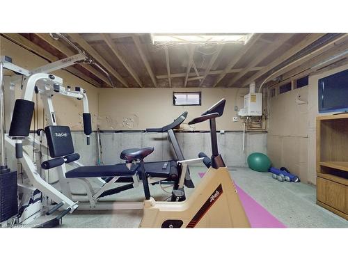 6 Princip Street, Hamilton, ON - Indoor Photo Showing Gym Room