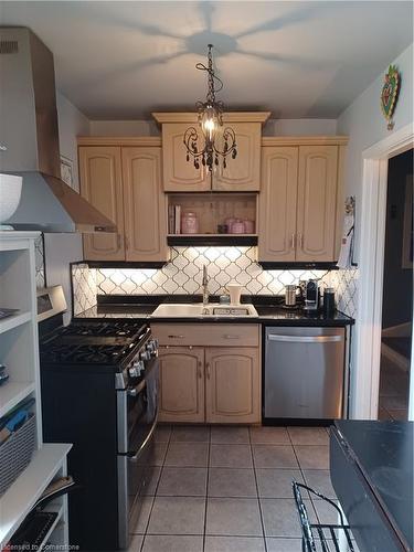 111 Stroud Road, Hamilton, ON - Indoor Photo Showing Kitchen With Double Sink