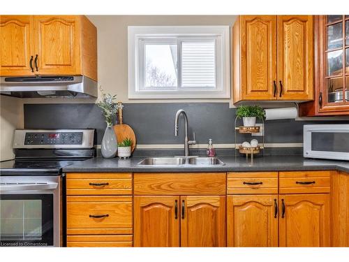 43 Brantwood Park Road, Brantford, ON - Indoor Photo Showing Kitchen With Double Sink