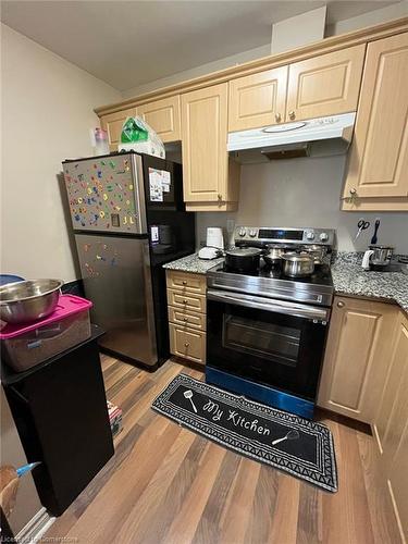 608-135 James Street, Hamilton, ON - Indoor Photo Showing Kitchen