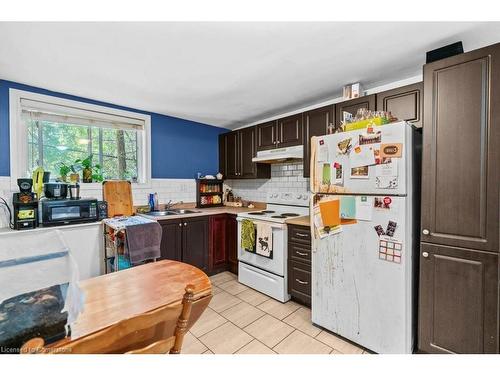 15 Freeman Place, Hamilton, ON - Indoor Photo Showing Kitchen With Double Sink