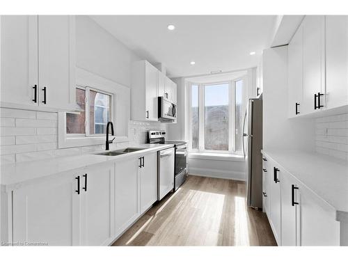 2-55 Cayuga Street, Brantford, ON - Indoor Photo Showing Kitchen With Double Sink