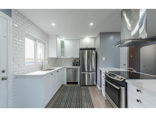 30 Larch Street, Hamilton, ON - Indoor Photo Showing Kitchen With Double Sink With Upgraded Kitchen