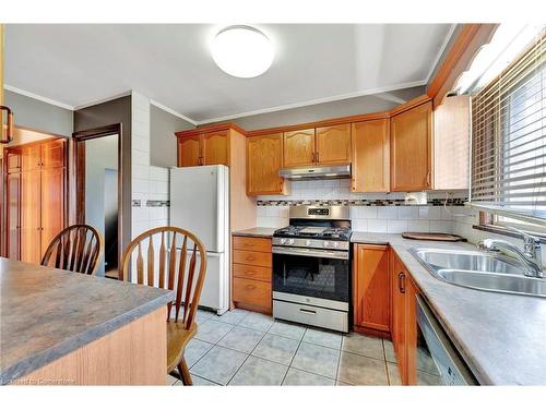 113 Green Road, Hamilton, ON - Indoor Photo Showing Kitchen With Double Sink