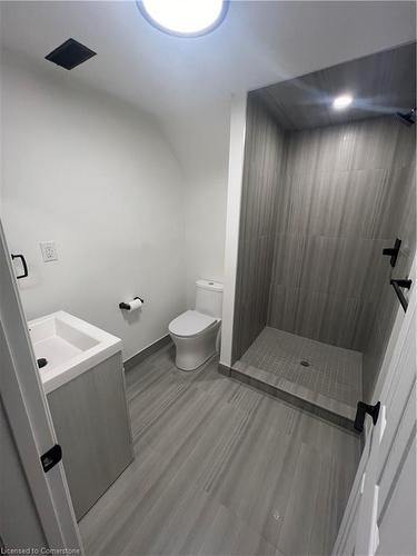 Lower-16 Teresa Street, Hamilton, ON - Indoor Photo Showing Bathroom