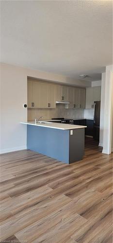 156-677 Park Road, Brantford, ON - Indoor Photo Showing Kitchen